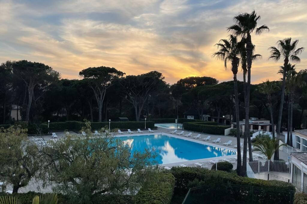 Bel Appartement Vue Sur Piscine 1 Chambre Fermee Et 1 Espace Cabine Saint-Raphaël Εξωτερικό φωτογραφία