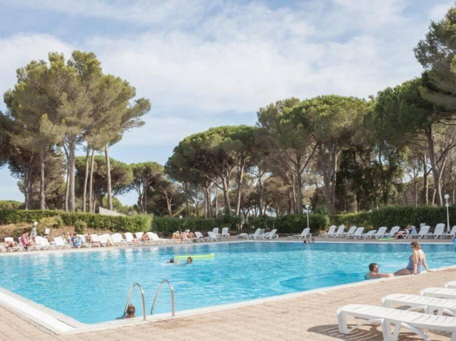 Bel Appartement Vue Sur Piscine 1 Chambre Fermee Et 1 Espace Cabine Saint-Raphaël Εξωτερικό φωτογραφία