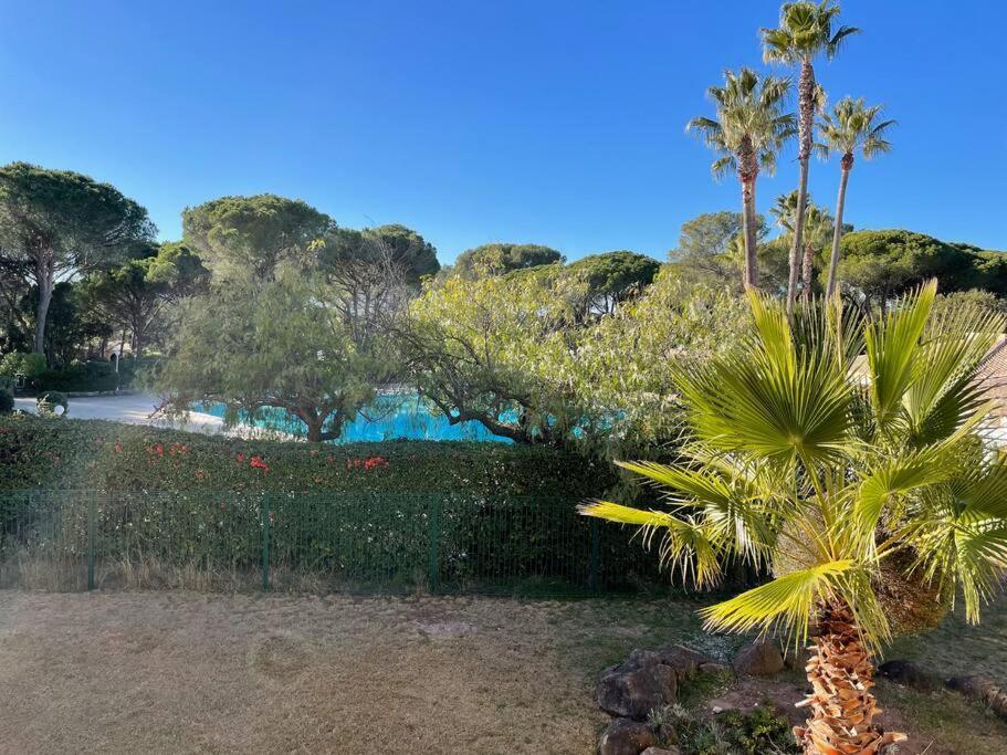Bel Appartement Vue Sur Piscine 1 Chambre Fermee Et 1 Espace Cabine Saint-Raphaël Εξωτερικό φωτογραφία