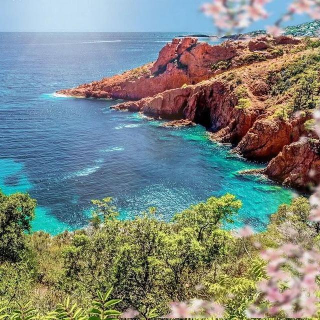 Bel Appartement Vue Sur Piscine 1 Chambre Fermee Et 1 Espace Cabine Saint-Raphaël Εξωτερικό φωτογραφία